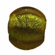 VETRO C/ARG. TONDO MM20 VERDE ACIDO