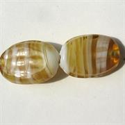 VETRO BIC. OVALE MM15x10 TOPAZIO