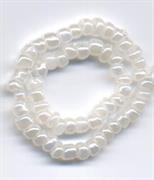 ROC.TAI 3/0 BIANCO CEYLON (141)
