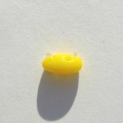 CAB.NAVETTA 6X3MM COL.12 GIALLO