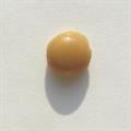 CAB.TONDO 5MM COL.37 BEIGE