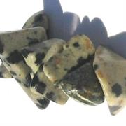 FILI CHIPS SEMIPREZ.90CM DALMATIAN JASPER