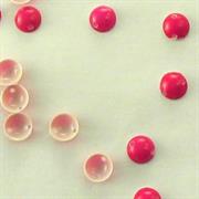 MOT.PAILL.N.12 CABOCHON LISCIO 6MM FUXIA OPALINO