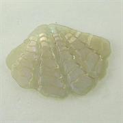 MOT.PAILL.N.41 CONCHIGLIA 25x35MM VERDE OLIVA IRIS