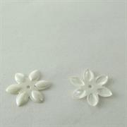 MOT.PAILL.N.46 STELLA ALPINA 12MM AVORIO ORIENTALE